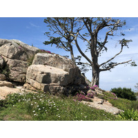 Photo France Île de Bréhat 2020-06 253