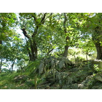 Photo Îles Fidji Fort de Tavuni 2010-05 1