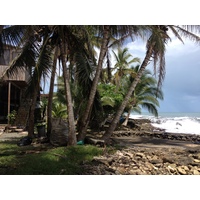 Photo Costa Rica Cahuita 2015-03 157