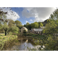 Photo France Local Mendon 2026-04 8