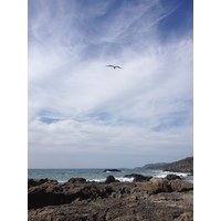 Photo Costa Rica Montezuma 2015-03 539