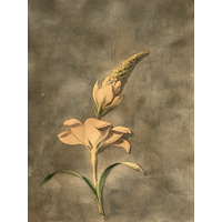 Photo Italie Sicile Palermo Palais des Normands 2020-02 100