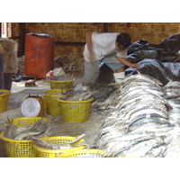 Photo Birmanie (Myanmar) Nord de Maungmagan 2005-01 54
