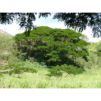 Photo Nouvelle-Calédonie Thio 2010-05 51