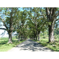 Photo Îles Fidji Rivière Sigatoka 2010-05 50