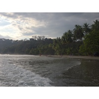 Photo Costa Rica Parc Manuel Antonio 2015-03 324