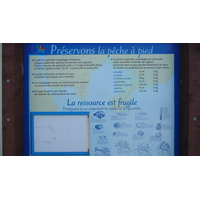 Photo France La Plaine sur mer Le Cormier 2007-07 30