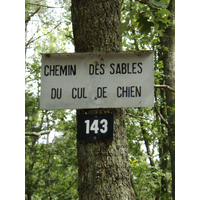 Photo France Fontainebleau Circuit des 25 bosses 2007-08 70