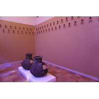Photo France Saint Paul de Vence Fondation Maeght 2017-08 133