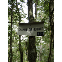 Photo France Fontainebleau Circuit des 25 bosses 2007-08 85