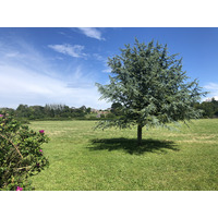 Photo France Île de Bréhat 2020-06 116