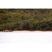 Photo Seychelles Curieuse 2011-10 43