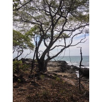 Photo Costa Rica Montezuma 2015-03 20