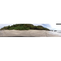 Photo Costa Rica Montezuma 2015-03 114