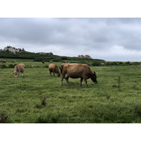 Photo France Île de Bréhat 2020-06 45