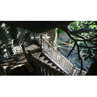 Photo France Disneyland Paris La Cabane des Robinson 2007-07 25