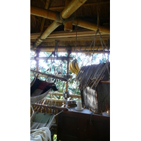 Photo France Disneyland Paris La Cabane des Robinson 2007-07 22