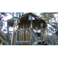 Photo France Disneyland Paris La Cabane des Robinson 2007-07 20