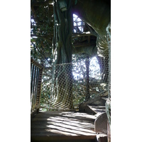 Photo France Disneyland Paris La Cabane des Robinson 2007-07 16