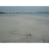Photo Émirats arabes unis Dubai Plage de Jumeira 2007-03 16