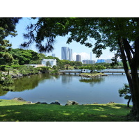 Photo Japon Tokyo Jardins Hama rikyu 2010-06 98