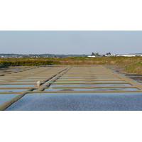 Photo France Guérande Les marais salants 2007-08 21