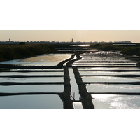 Photo France Guérande Les marais salants 2007-08 22
