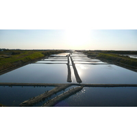Photo France Guérande Les marais salants 2007-08 31