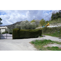 Photo France Vence Hauts de Vence 2008-03 37