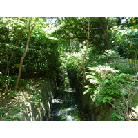 Photo Japon Tokyo Jardins Hama rikyu 2010-06 37