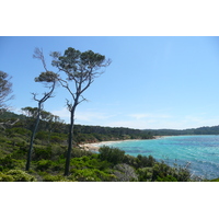 Photo France Ile de Porquerolles Pointe du Lequin 2008-05 15
