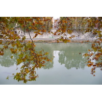 Photo Italie Rome Lungotevere Gianicolense 2007-11 23