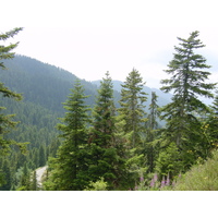 Photo France Mercantour 2003-07 77