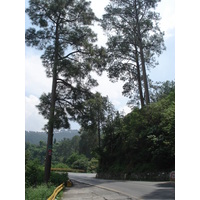 Photo Pakistan Route de Islamabad à Murree 2006-08 47