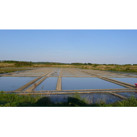 Photo France Guérande Les marais salants 2007-08 6