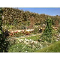 Photo France Paris Jardin des Plantes 2014-09 19