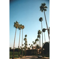 Photo États-Unis Beverly Hills 1992-08 13