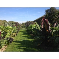Photo France Paris Jardin des Plantes 2014-09 29