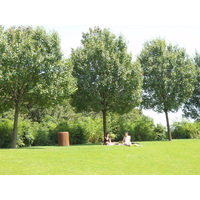 Photo France Villeneuve La Garenne Parc des Chanteraines 2007-07 48