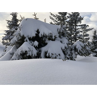 Photo France Praz sur Arly 2019-12 174