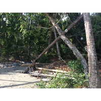 Photo Costa Rica Parc Manuel Antonio 2015-03 241