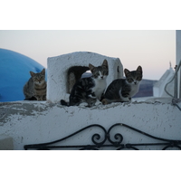 Photo Grèce Santorin 2016-07 77