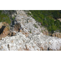 Photo Afrique du Sud Les Heads de Knysna 2008-09 8