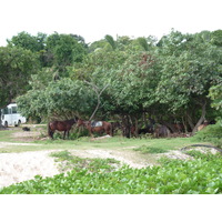 Photo Îles Fidji Natadola beach 2010-05 26