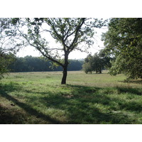Photo France Villeneuve Loubet Parc de Vaugrenier 2006-09 2