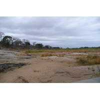 Photo Afrique du Sud Parc National Kruger Rivière Sable 2008-09 19
