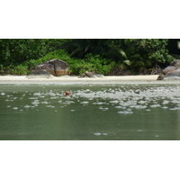 Photo Seychelles Mahé 2011-10 205