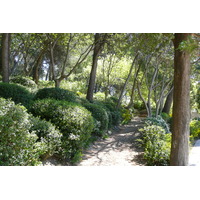 Photo France Beaucaire Château de Beaucaire 2008-04 14