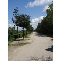 Photo France Colombes L'ile Marrante 2007-07 18
