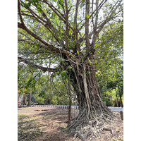 Photo Cambodge Siem Reap Bayon 2023-01 11